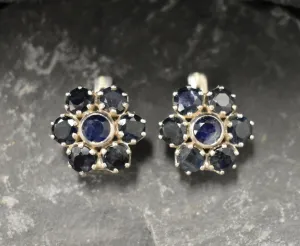 Genuine Sapphire Earrings - Blue Flower Earrings - Large Floral Studs