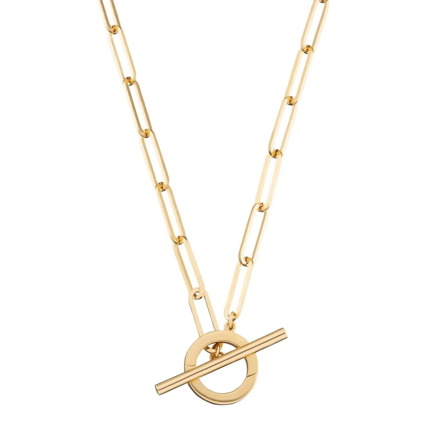 Gold Plated Long Link Charm Collector Necklace